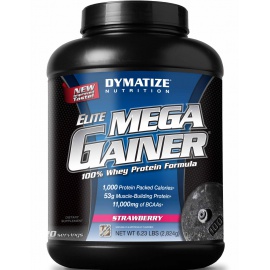 Elite Mega Gainer Dymatize Nutrition